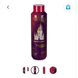 NWT Starbucks Walt Disney World Red/Purple Stainless Steel Water Bottle 20oz